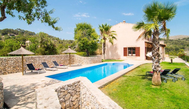 Pet friendly home in Son Macia