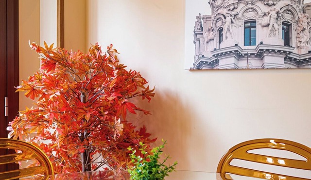 Quiet, centrally located, and bright