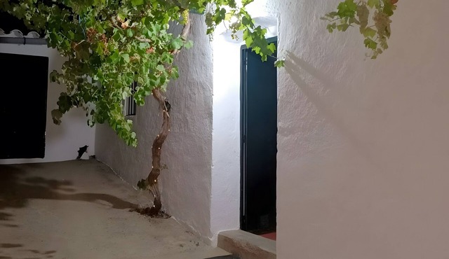 Rural Accommodation El Puerto