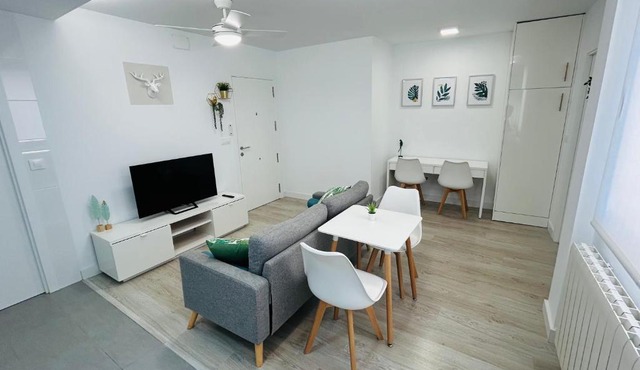 SILVER -Apartamentos Birdie- in Albacete