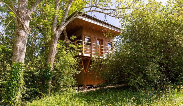 Treehouse “La Cabane Perchée” in Vert