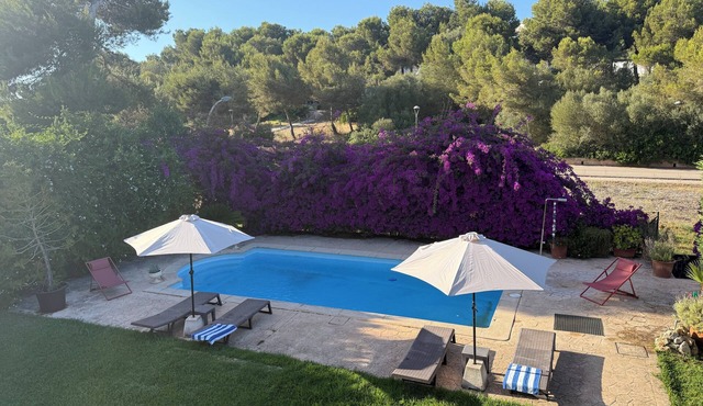 Your Vacation in Cala Mendia. Sun, beach, and pool just a few meters from the coves.