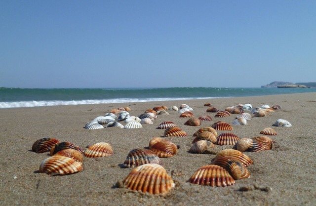 Badia Bel Appart Plage Empuriabrava 