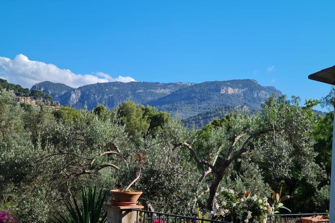 Soller House | Casa Sunny