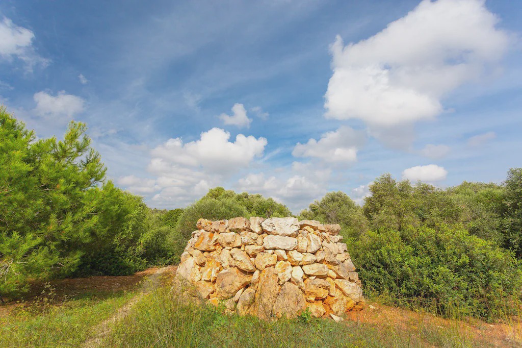 Photo of Others in Biniparrell