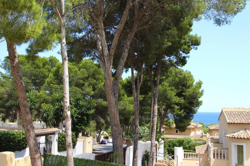 Photo of Others in Moravit