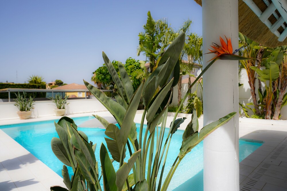 Photo of Outdoor in Coin