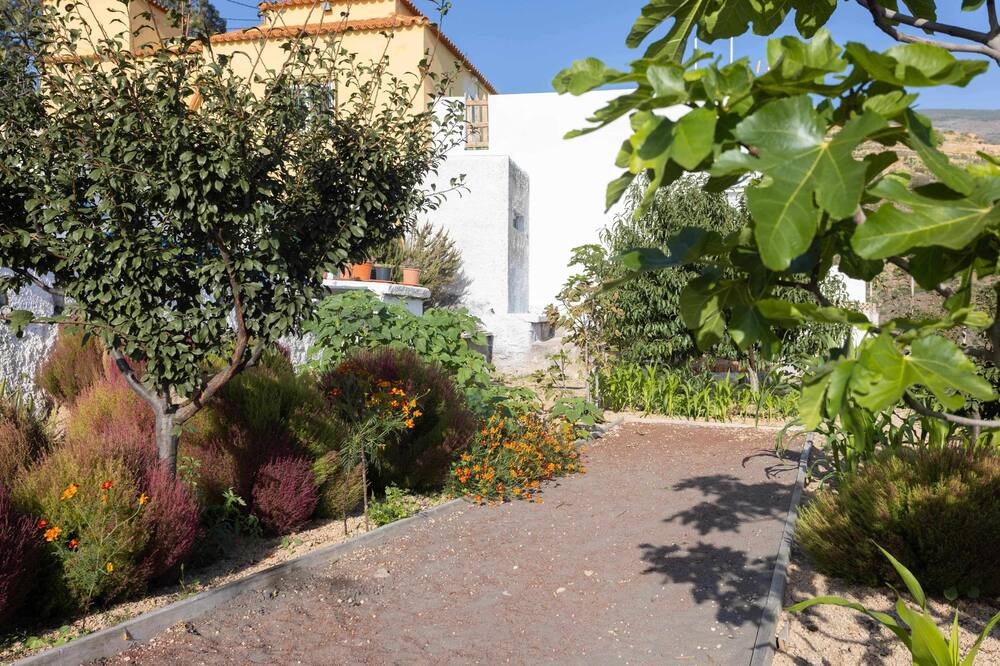 Photo of Outdoor in Fasnia
