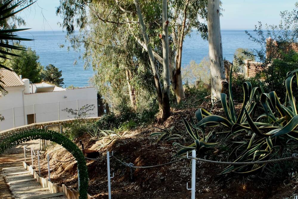 Photo of Others in Mezquitilla