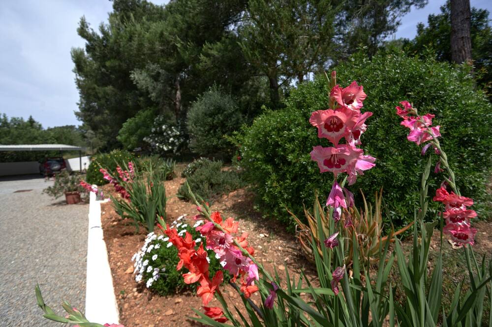 Photo of Outdoor in Sant Rafael de Sa Creu
