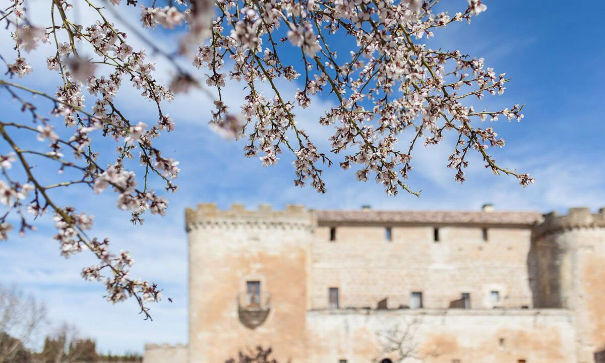 Photo of Outdoor in Villanueva de Canedo