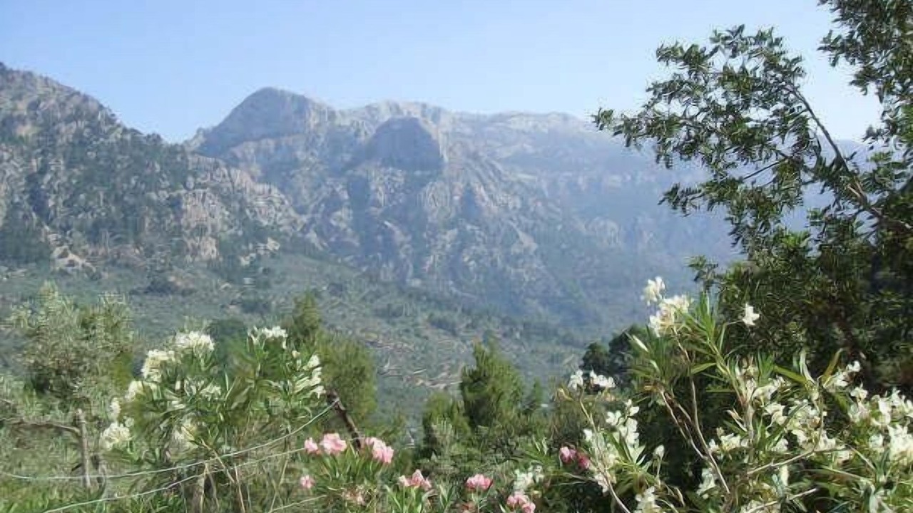 Photo of Outdoor in Fornalutx