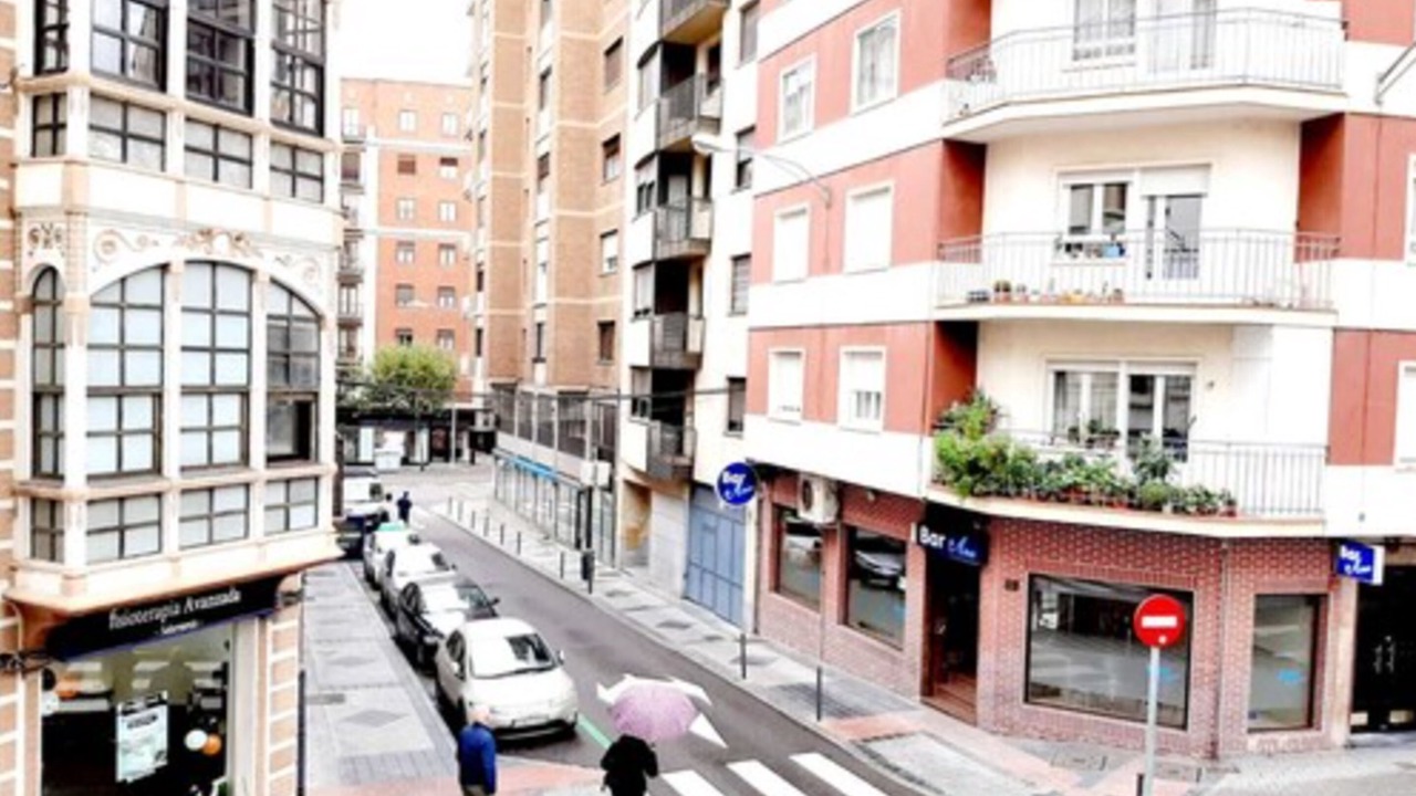 Photo of Outdoor in Labradores