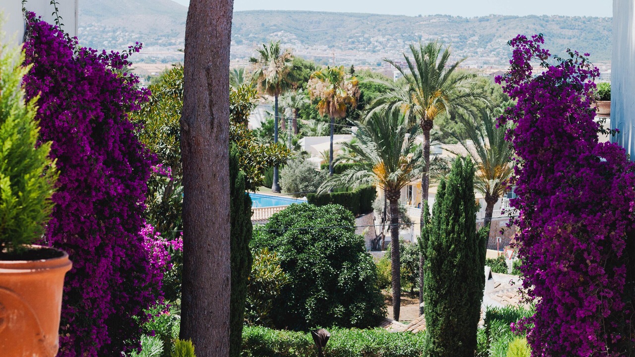 Photo of Outdoor in Javea
