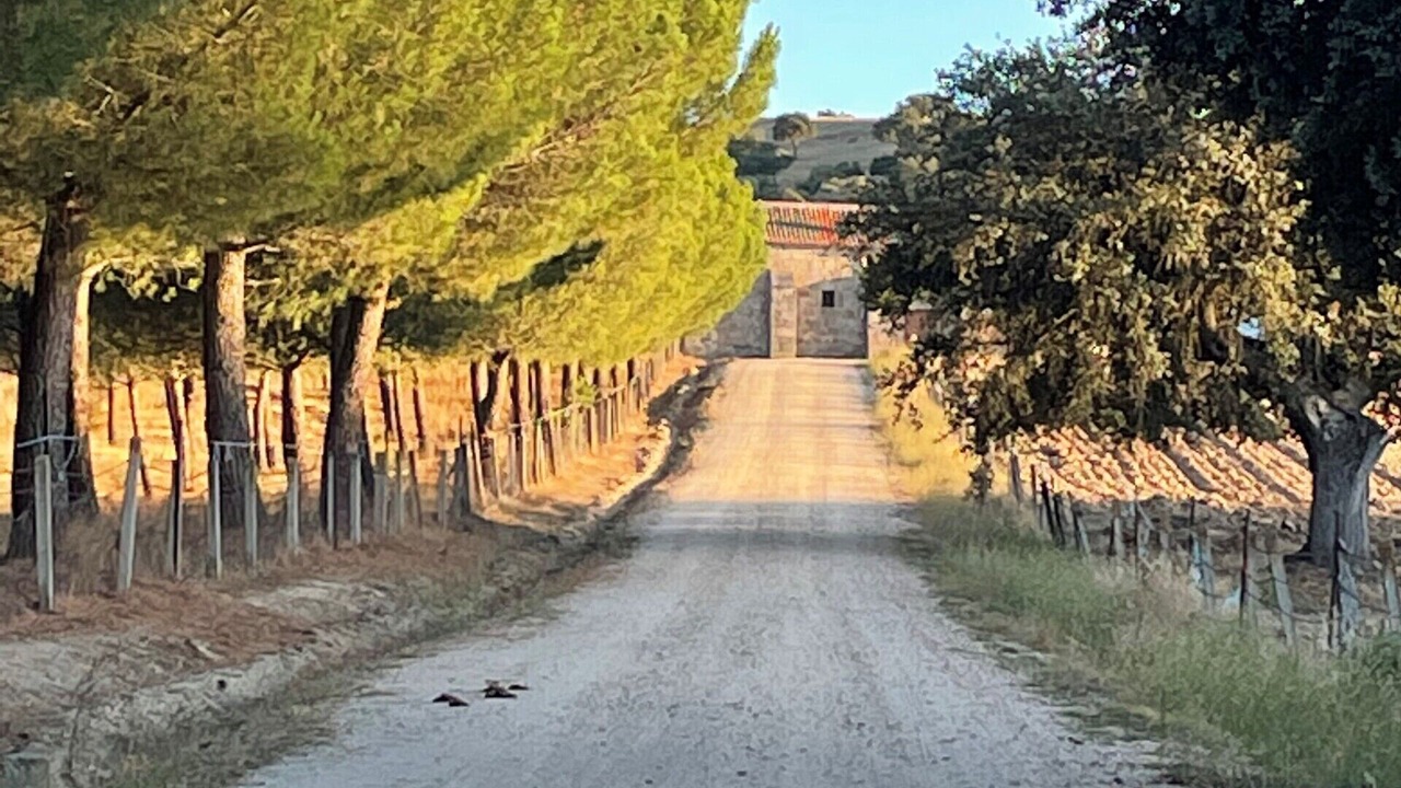 Photo of Outdoor in Alaraz