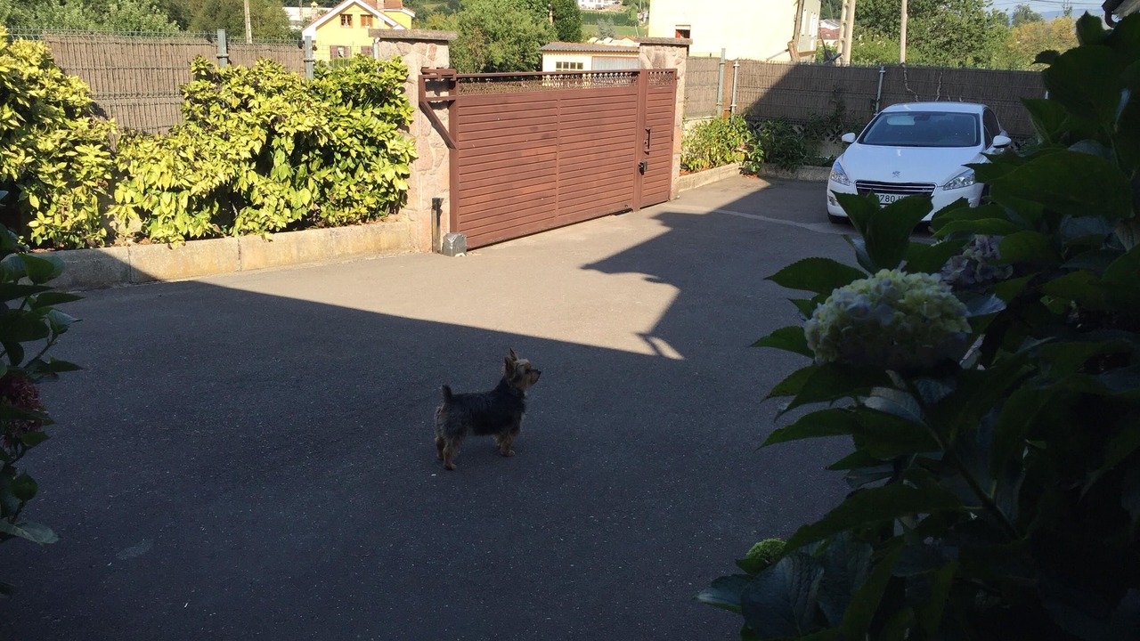 Photo of Outdoor in Siero