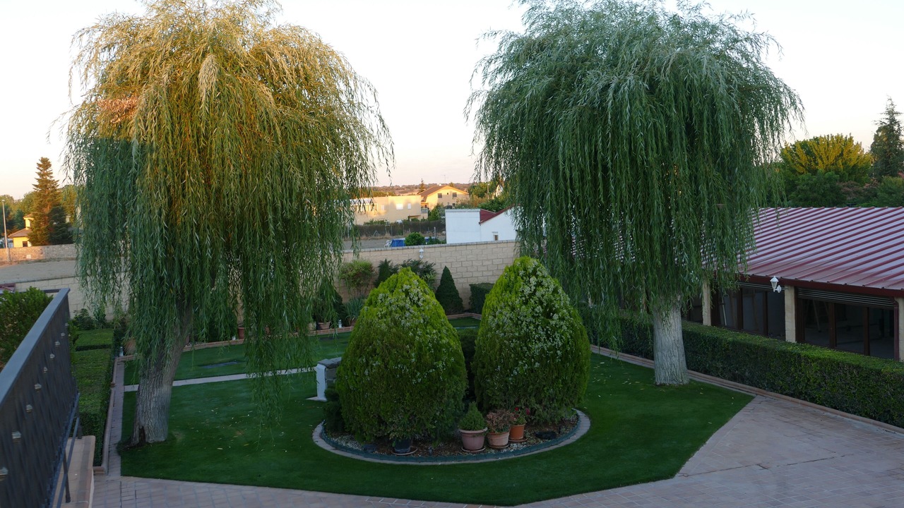 Photo of Outdoor in Villamayor