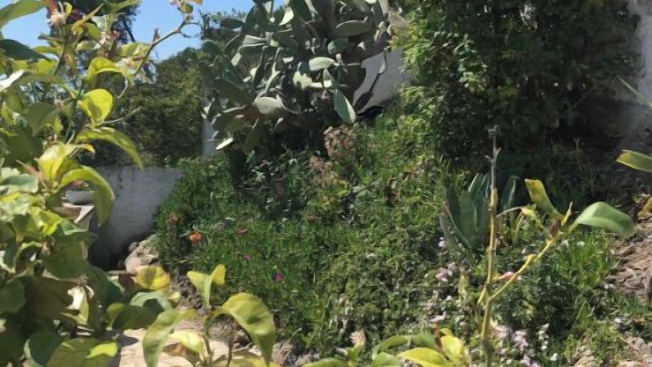 Photo of Outdoor in Santa Susanna