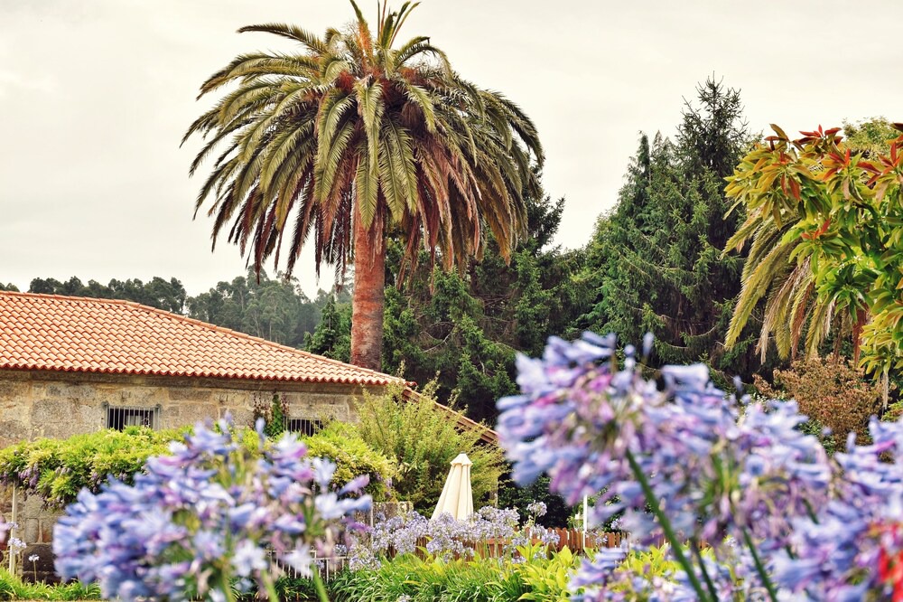 Photo of Outdoor in Noalla