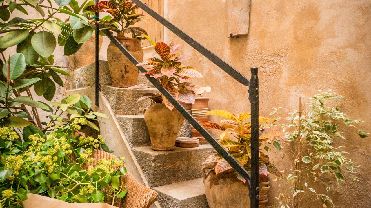 Photo of Outdoor in Soller