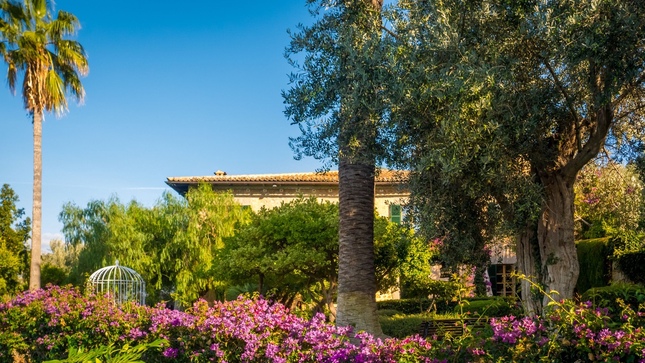 Photo of Outdoor in Soller