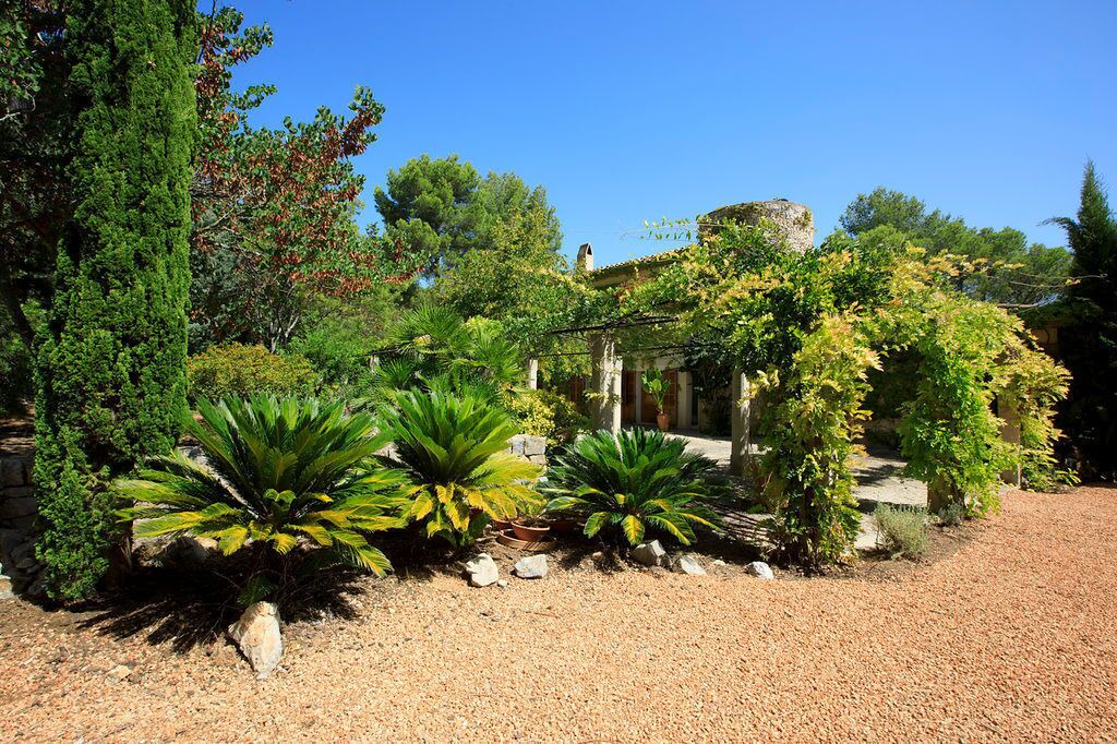 Photo of Outdoor in Calvia