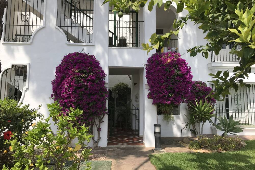 Photo of Outdoor in Atalaya-Isdabe