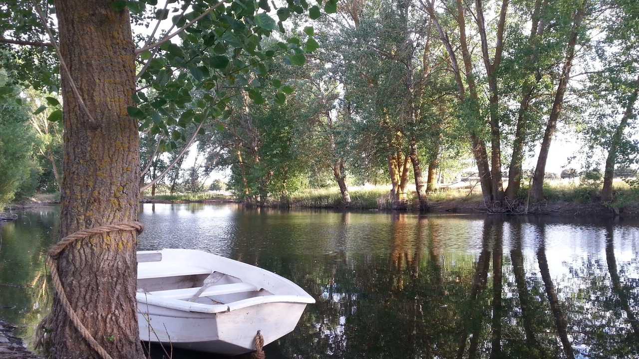 Photo of Outdoor in Villanueva de Canedo