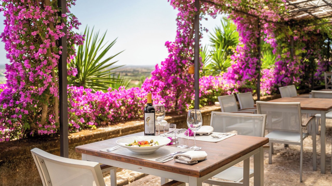Photo of Others in Alcudia