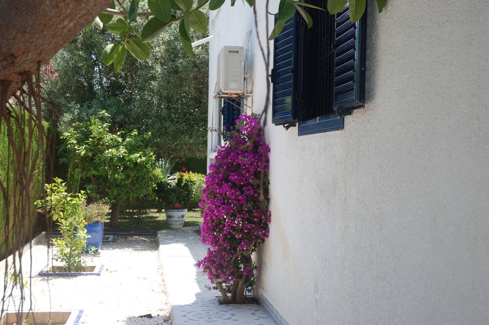 Photo of Outdoor in La Zenia