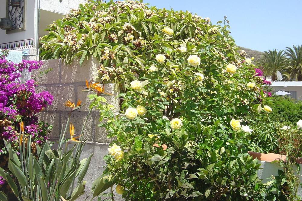 Photo of Outdoor in Cabo Blanco
