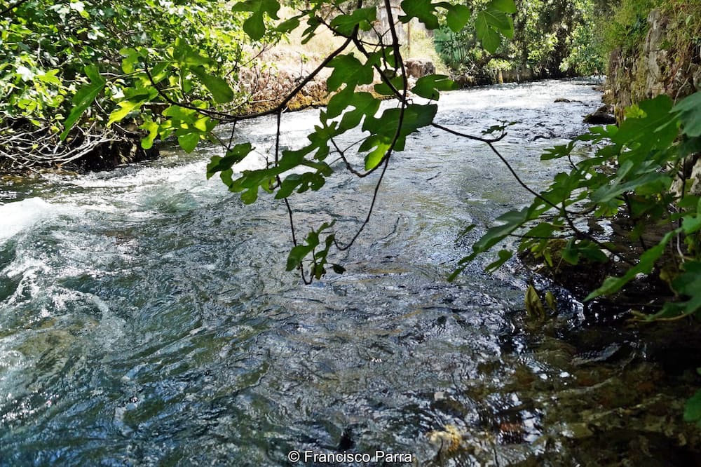 Photo of Outdoor in Benaojan