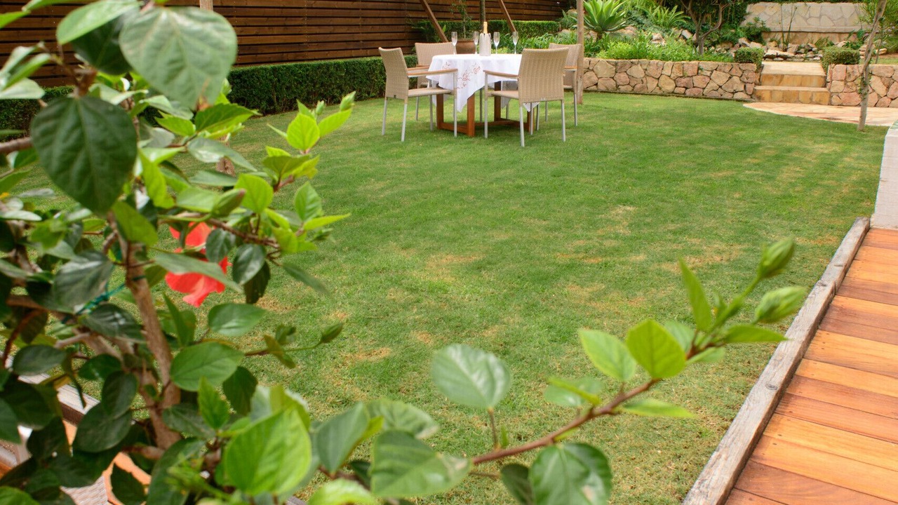 Photo of Outdoor in Cala de Bou