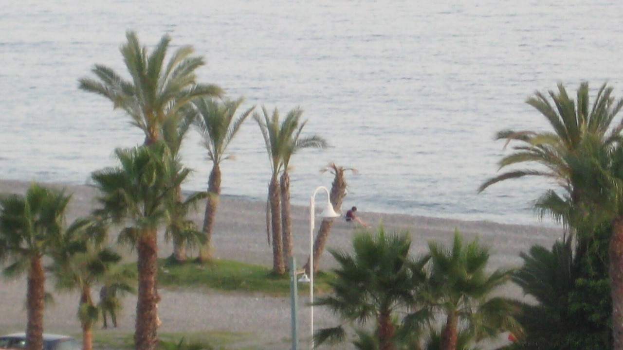 Photo of Others in La Herradura