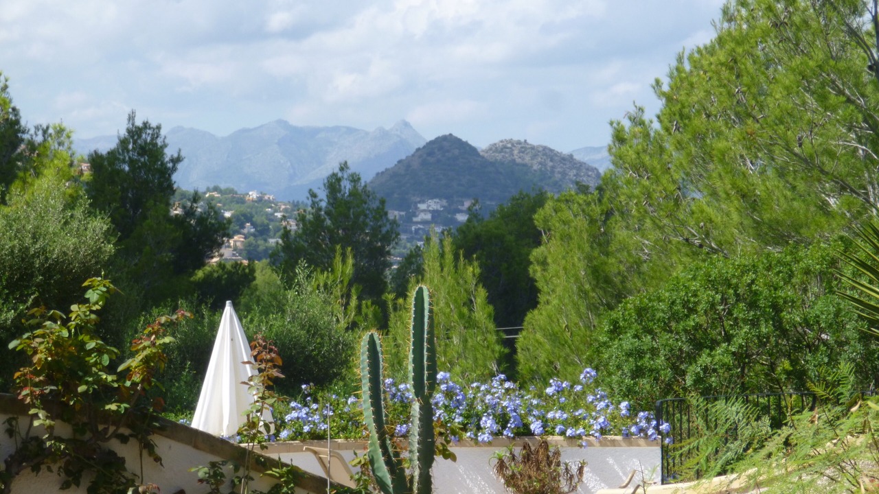 Photo of Outdoor in Jesus Pobre