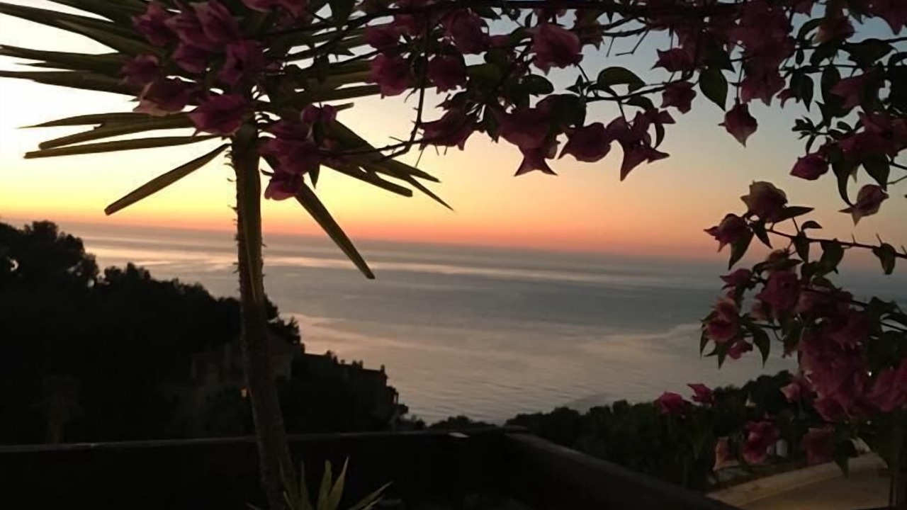 Photo of Outdoor in La Herradura