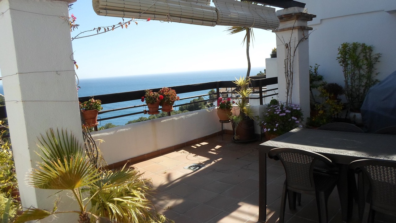 Photo of Outdoor in La Herradura