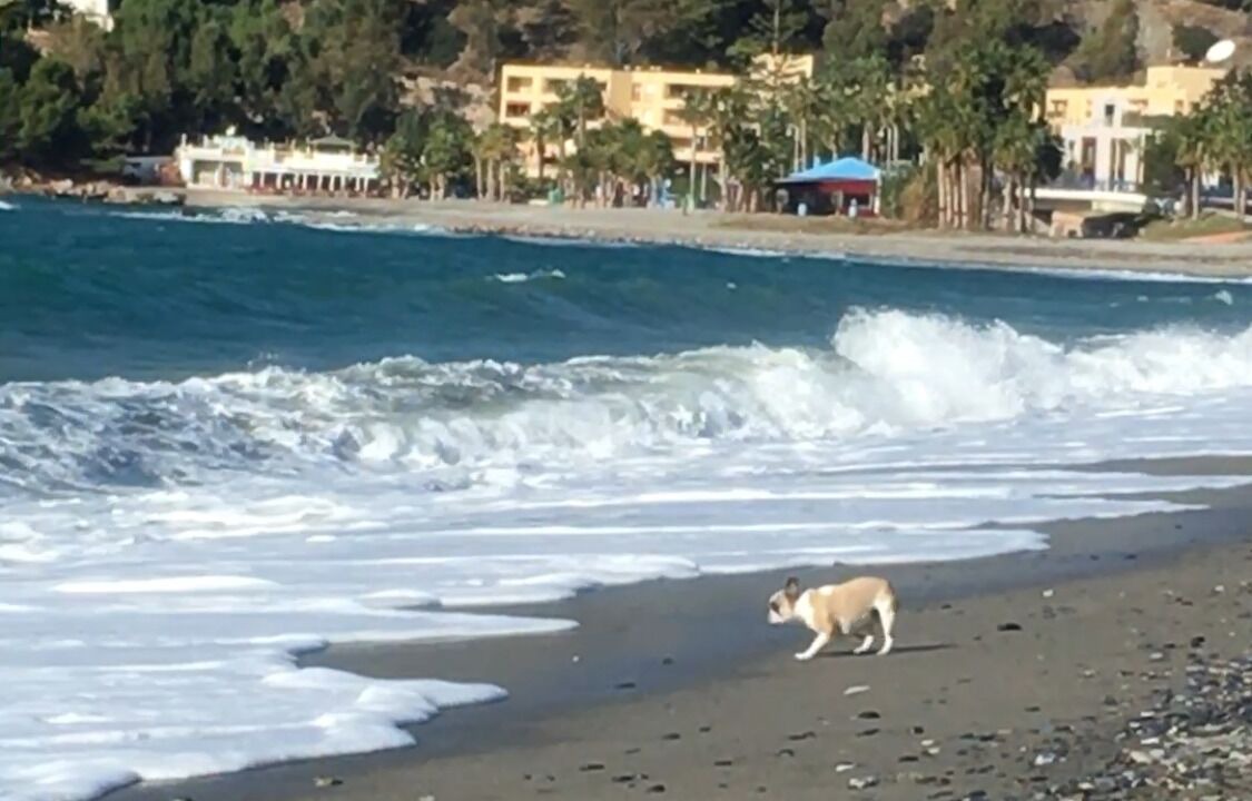 Photo of Others in La Herradura