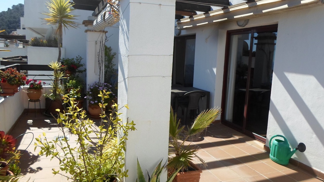 Photo of Outdoor in La Herradura