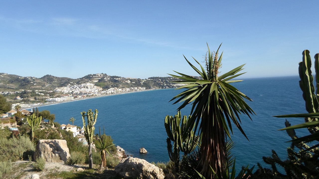 Photo of Others in La Herradura