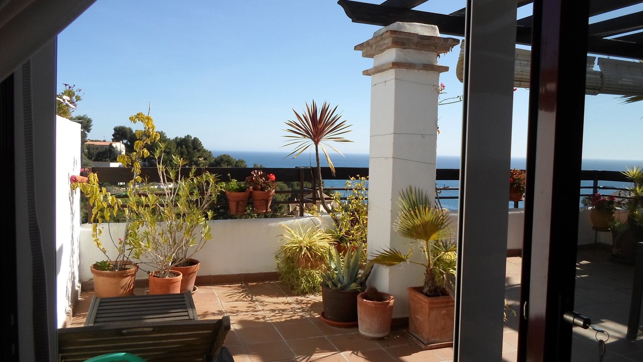 Photo of Outdoor in La Herradura
