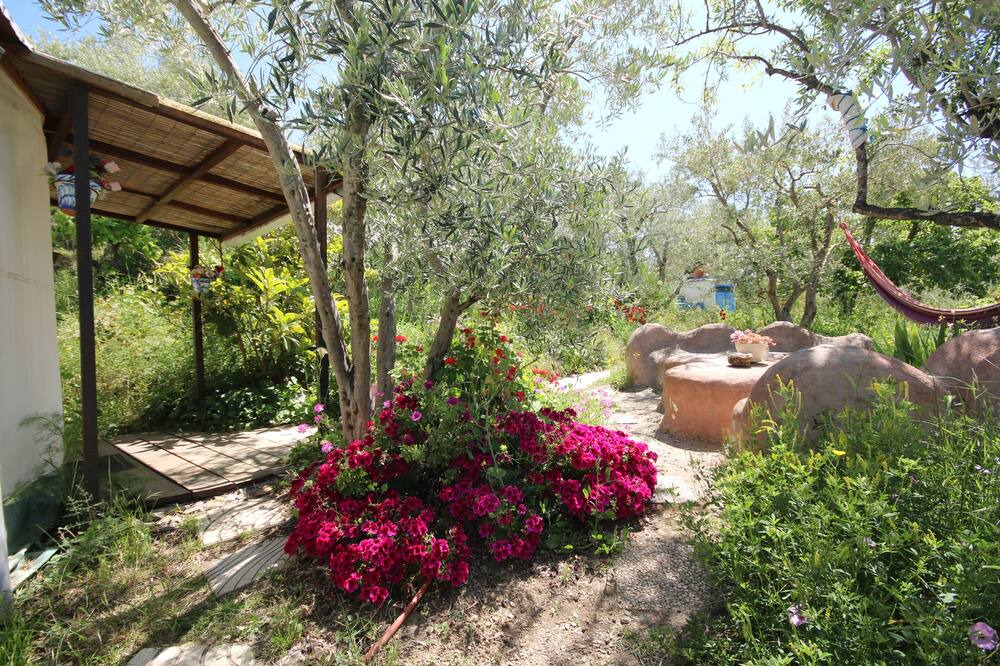 Photo of Outdoor in Lanjaron