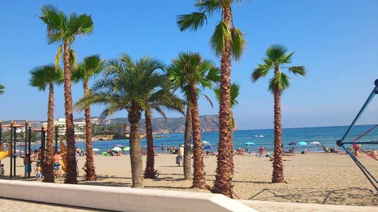 Photo of Outdoor in Costa Nova