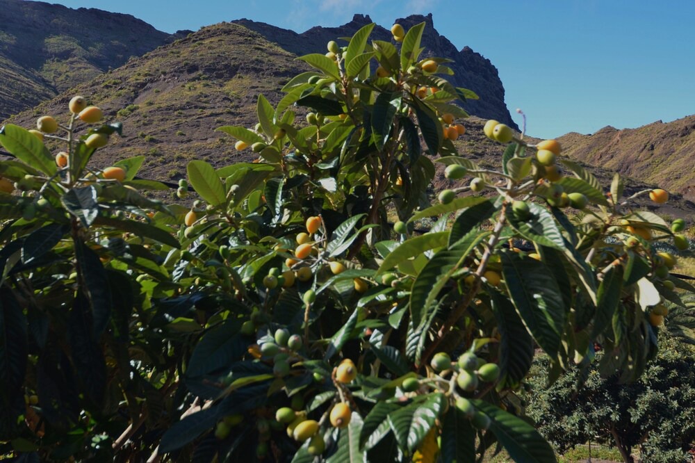 Photo of Outdoor in Alojera