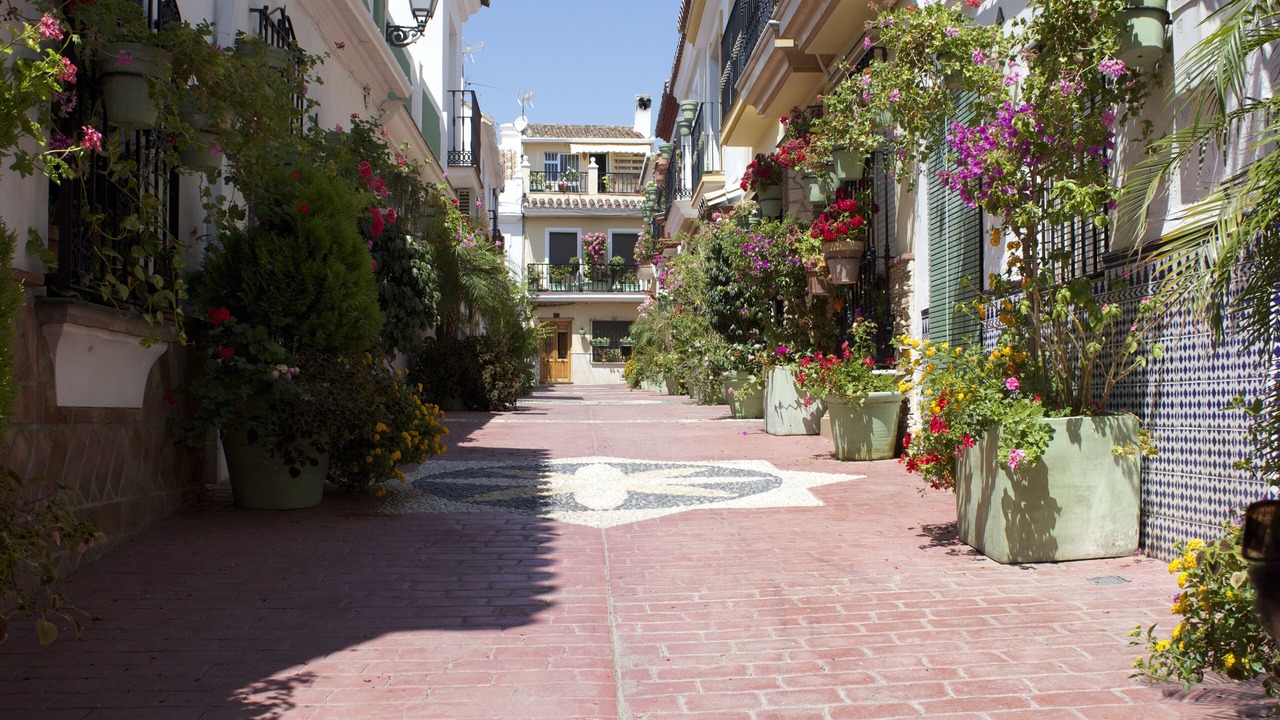 Photo of Outdoor in Atalaya-Isdabe