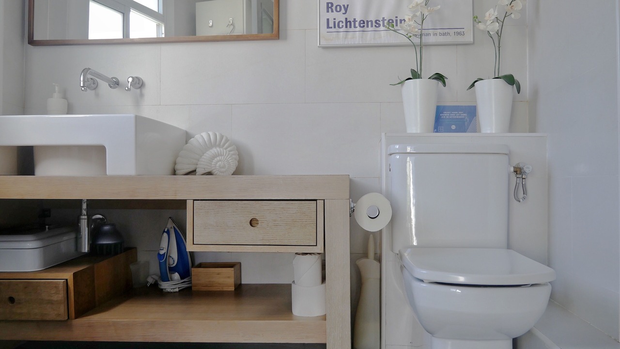 Photo of Bathroom in La Ribera