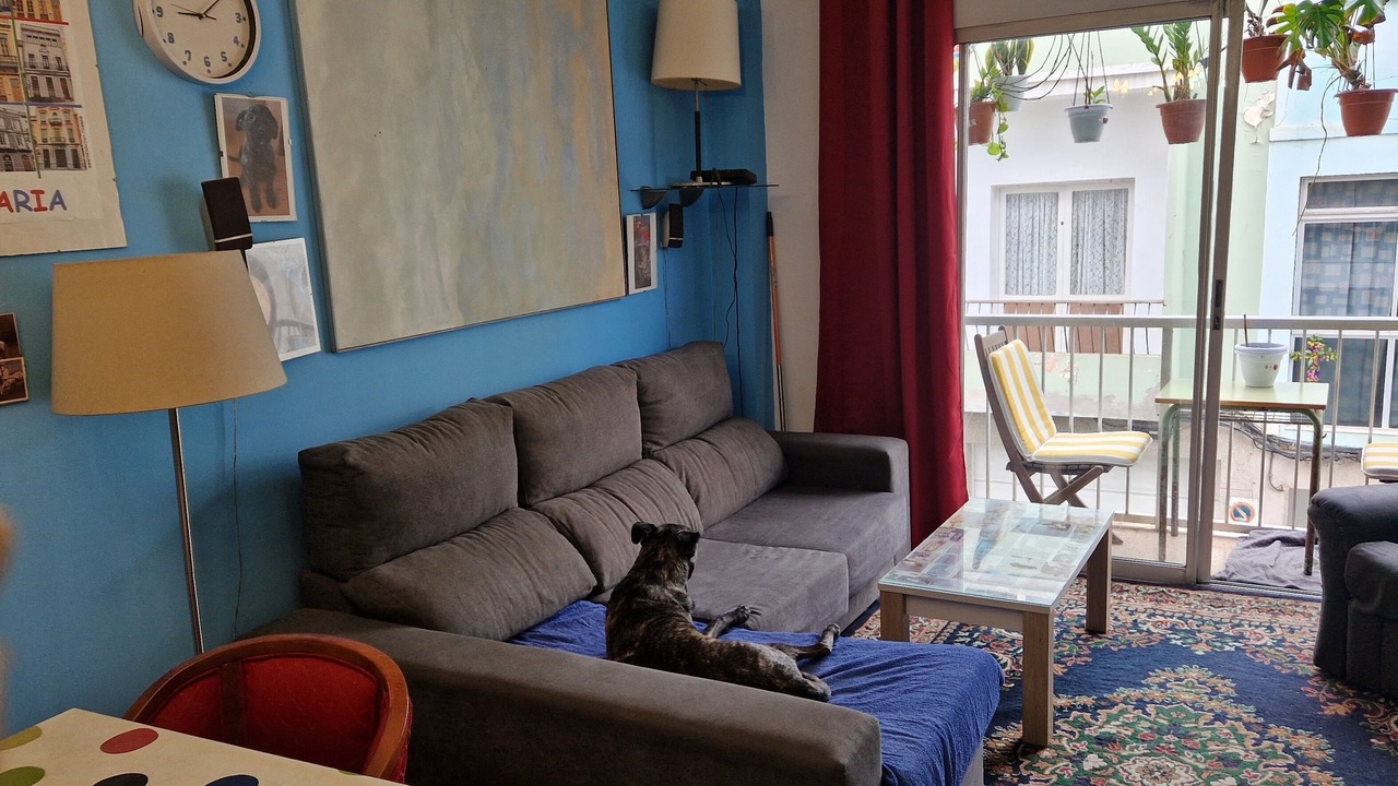 Photo of Livingroom in Las Palmas de Gran Canaria