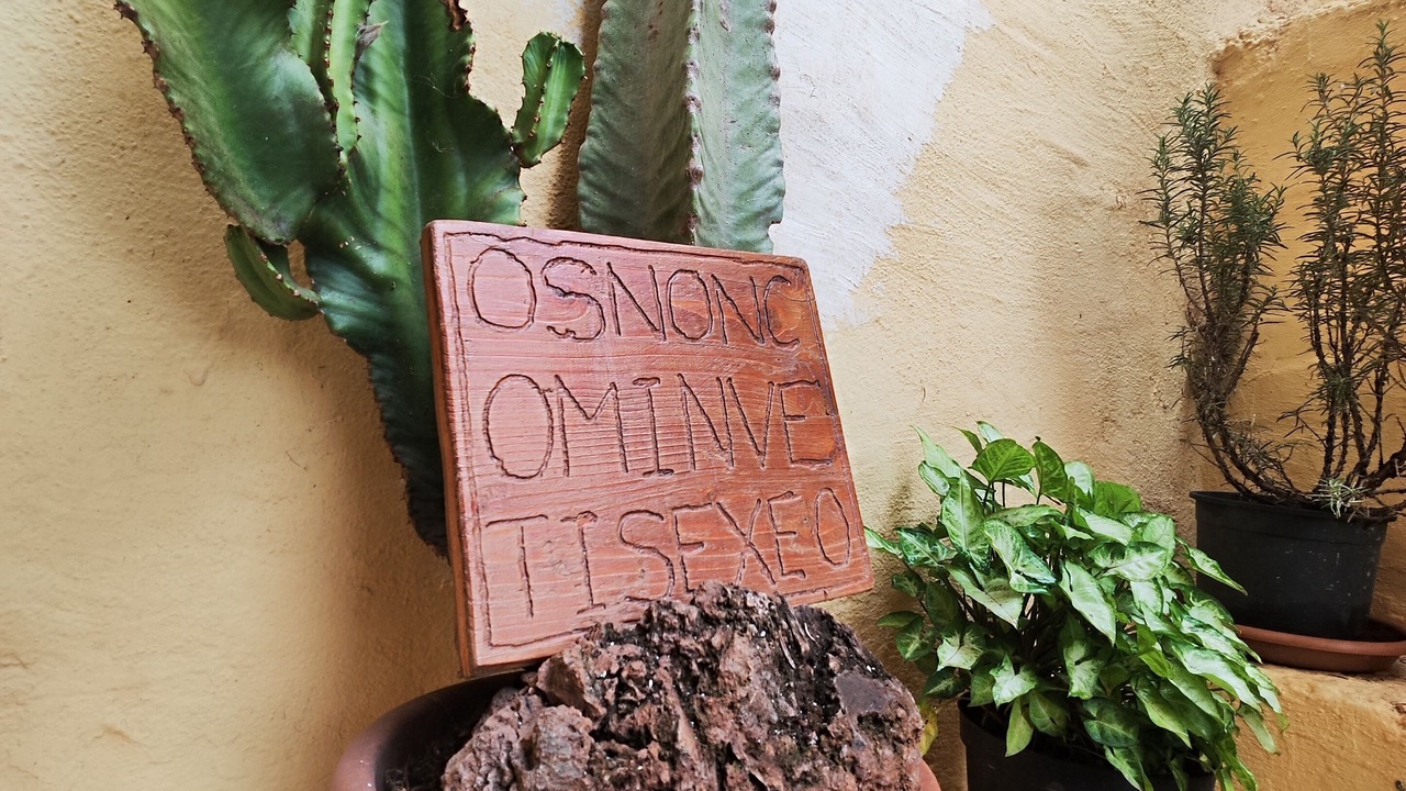 Photo of Others in Valsequillo de Gran Canaria