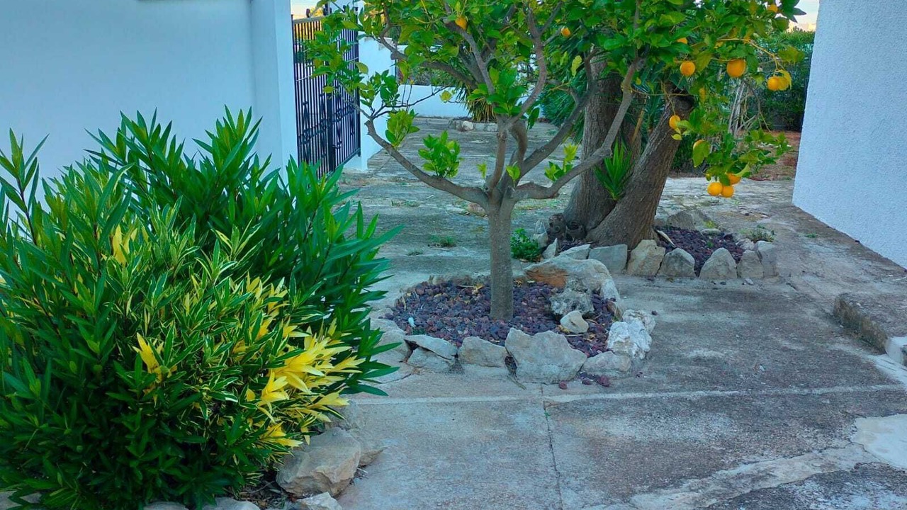 Photo of Outdoor in Denia