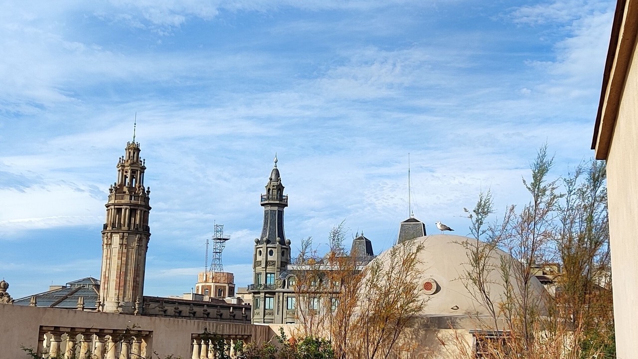 Photo of Outdoor in Ciutat Vella